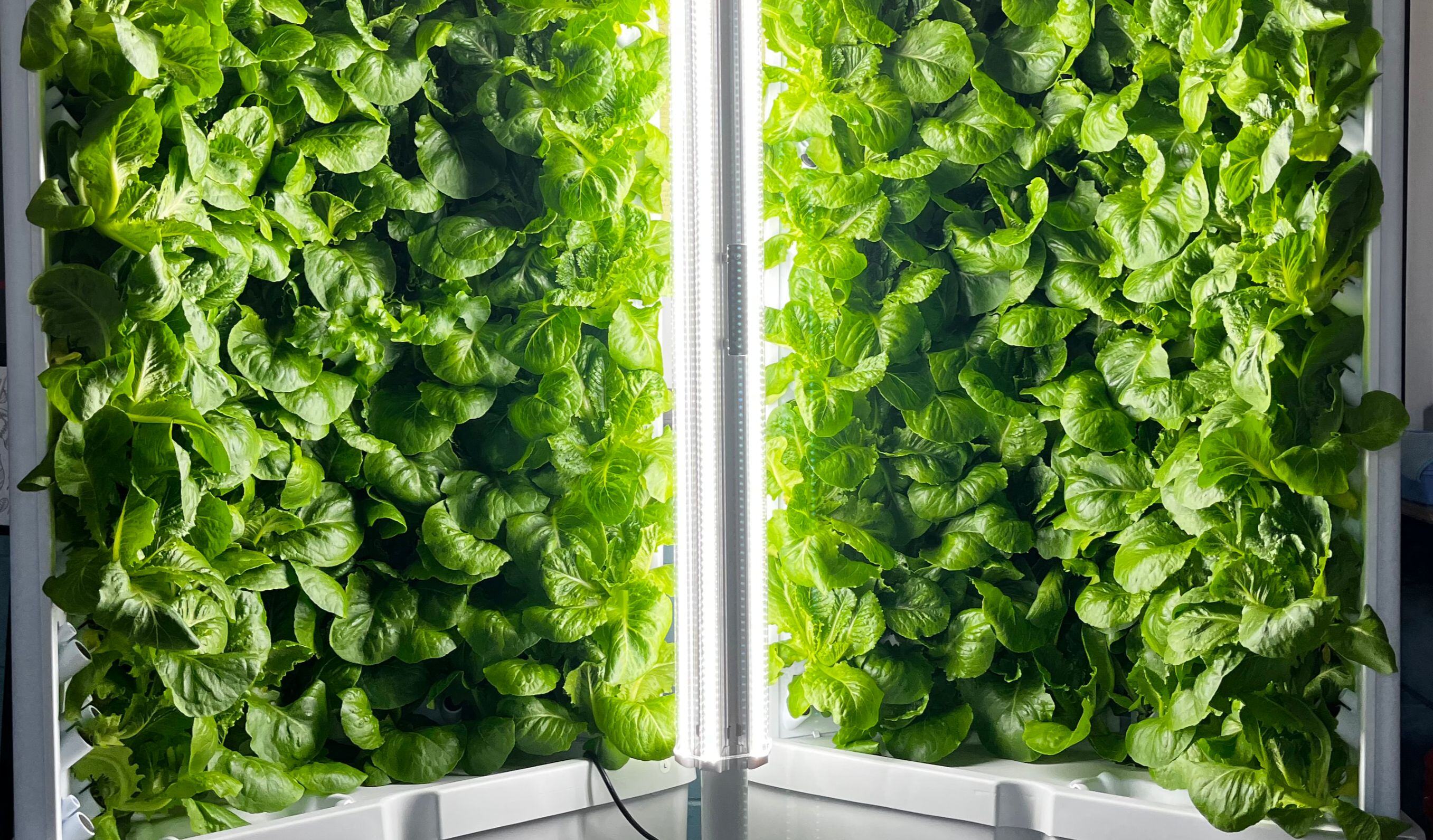 Fork Farms Flex Farm – Indoor Hydroponic System