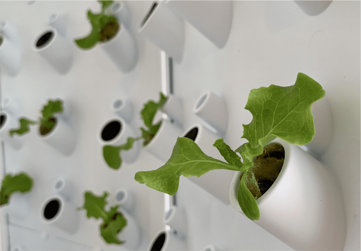 Fork Farms Flex Farm – Indoor Hydroponic System
