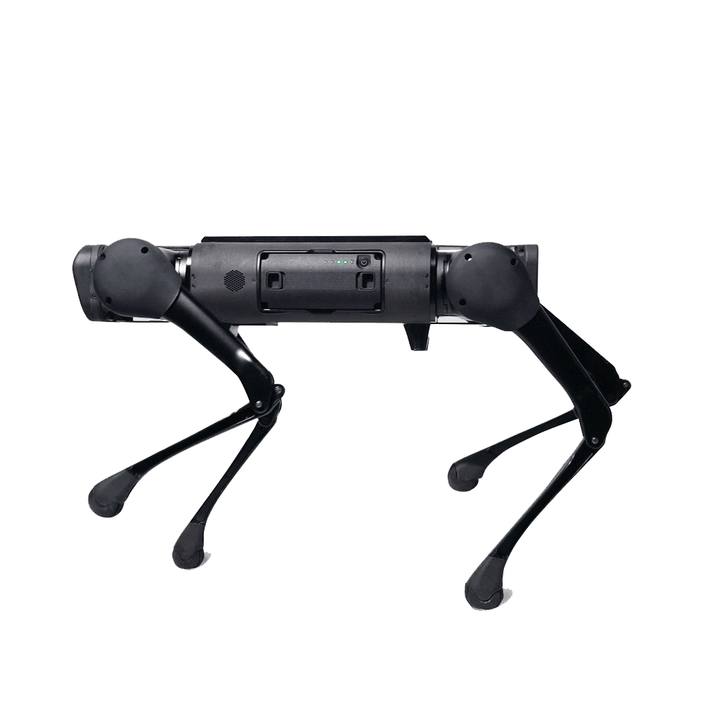 Unitree B1 Robot Dog