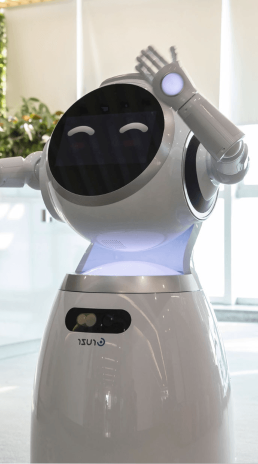 Cruzr-1