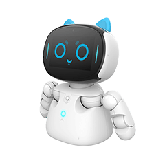 Kebbi Robot