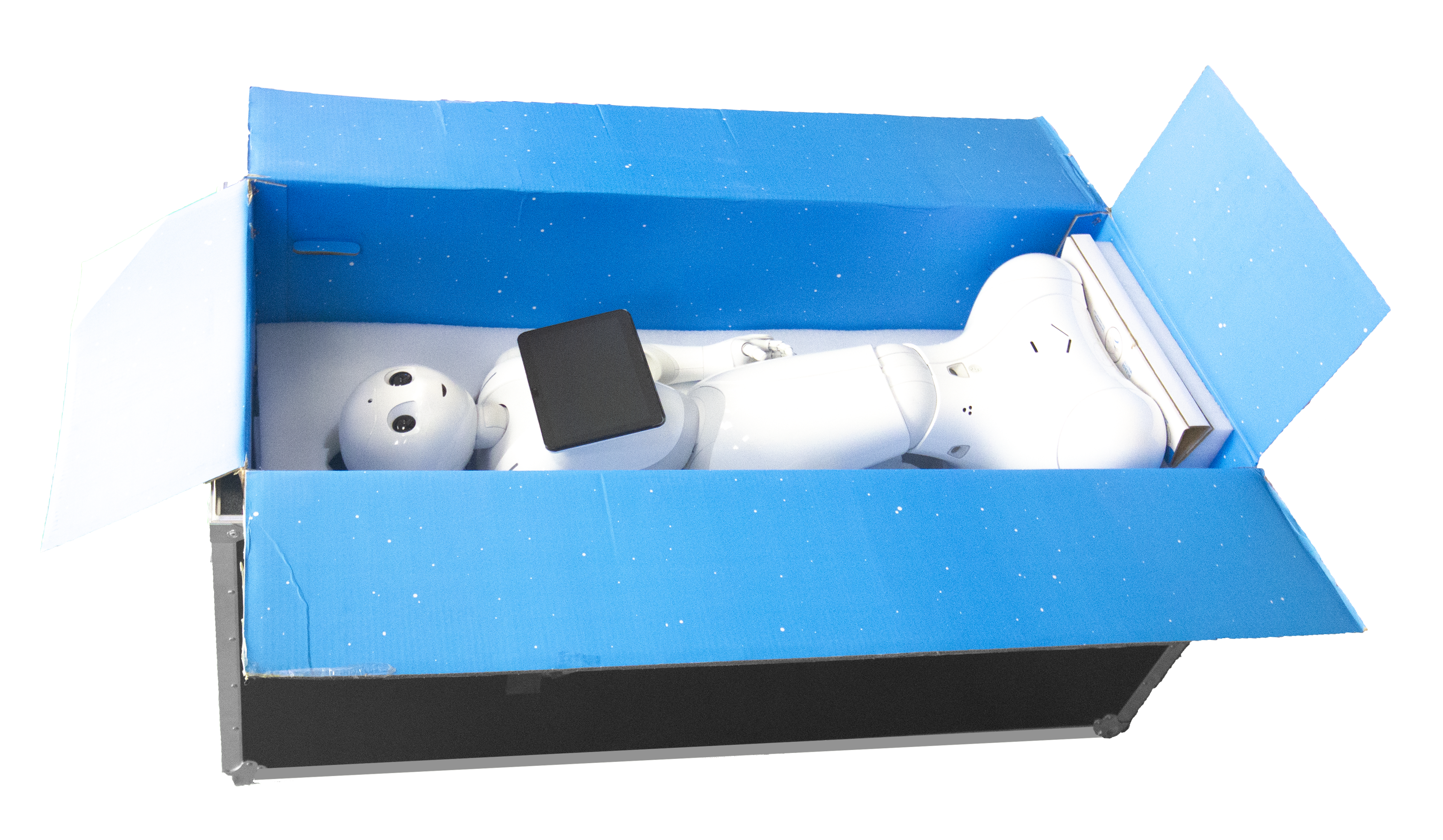 PEPPER Robot Transport Case for research