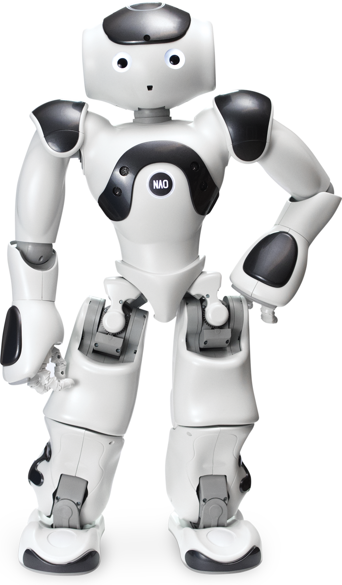 NAO V6 - Standard Edition