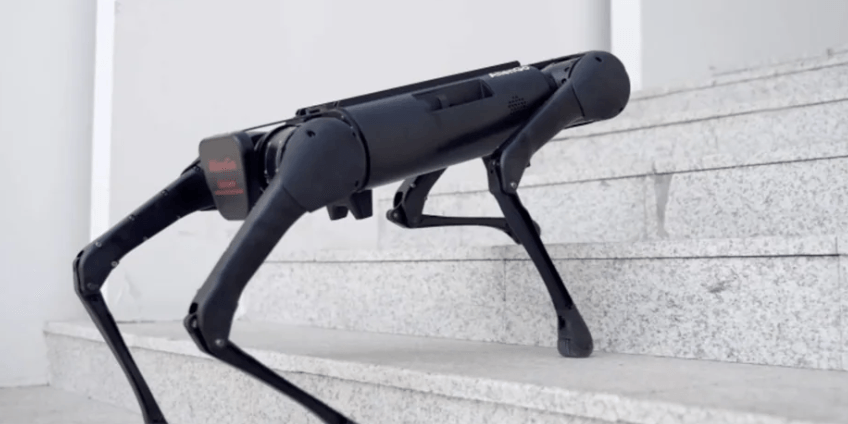 Unitree AlienGo Robot | Professional Grade