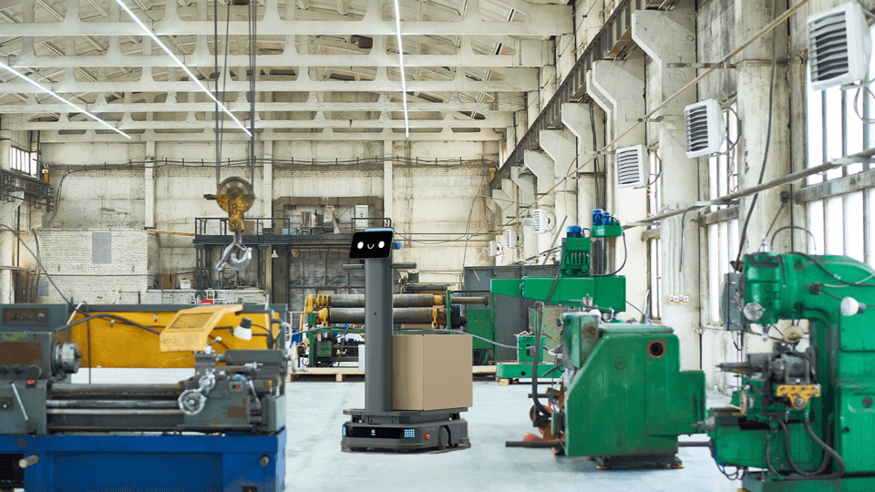 Pudu T300 Robot