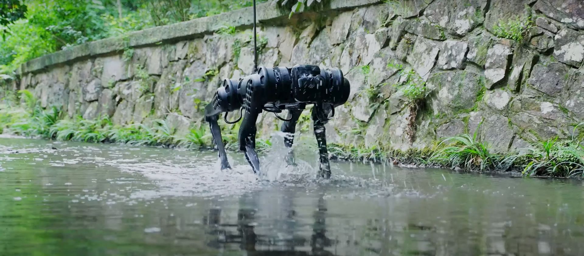 Unitree Go 2 Robot Dog | Professional Grade