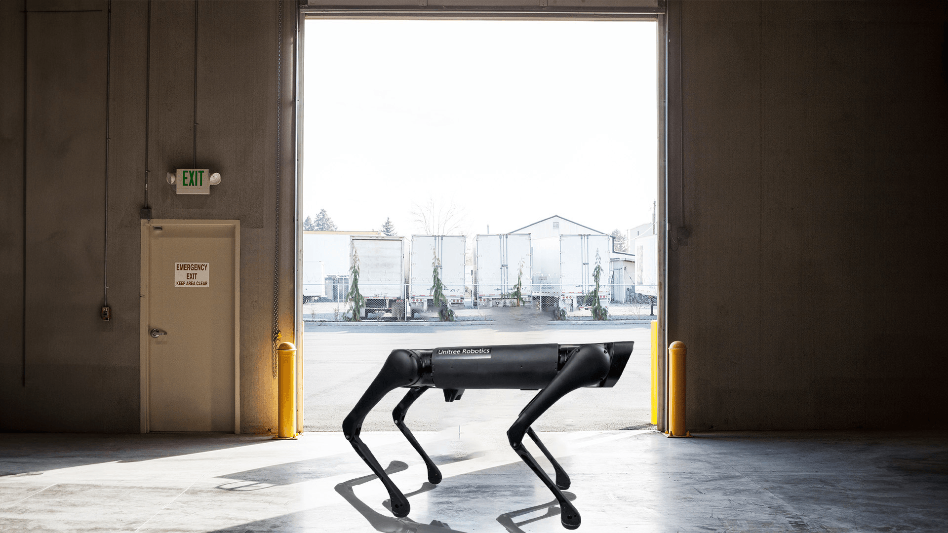 Unitree B1 Robot Dog