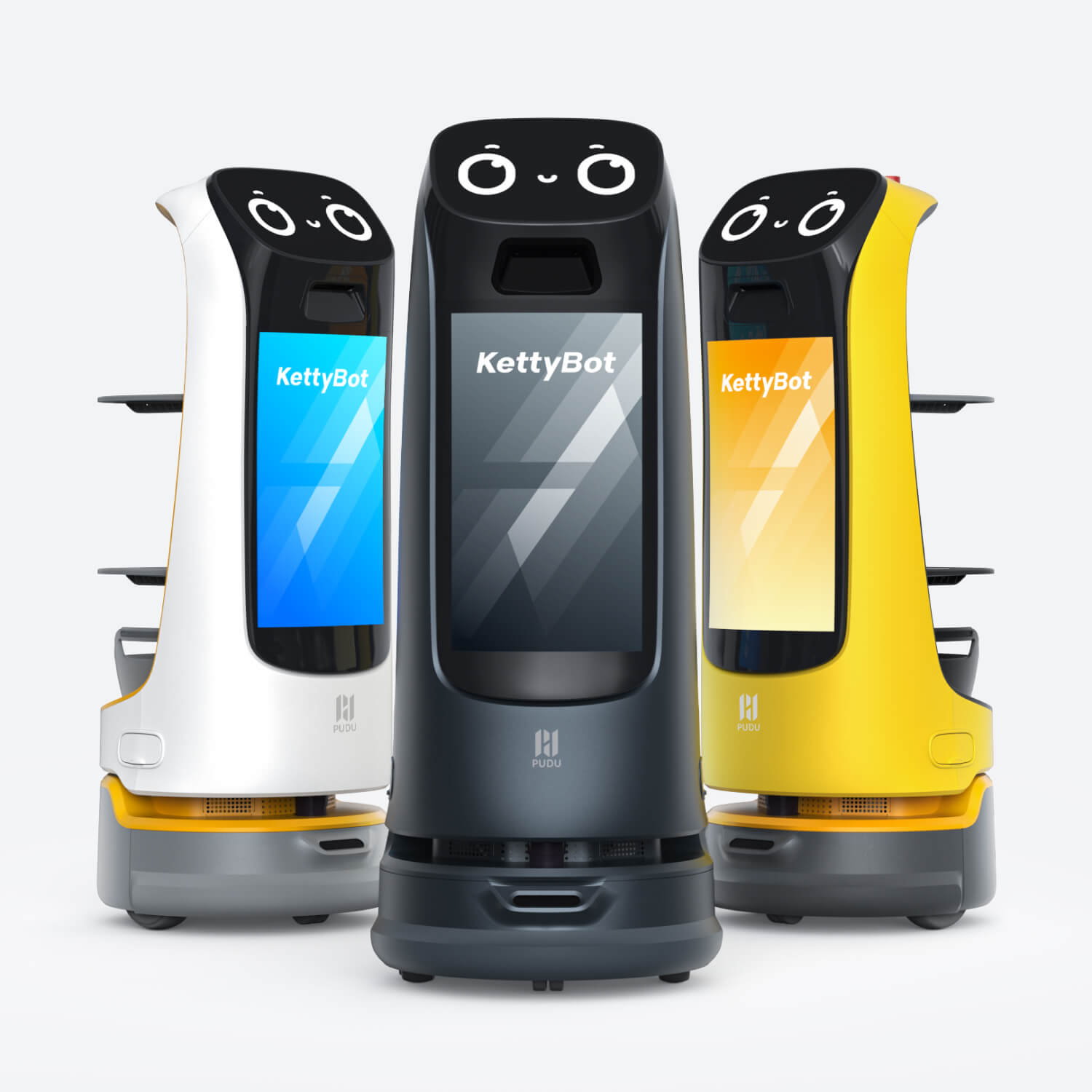Pudu KettyBot Pro image