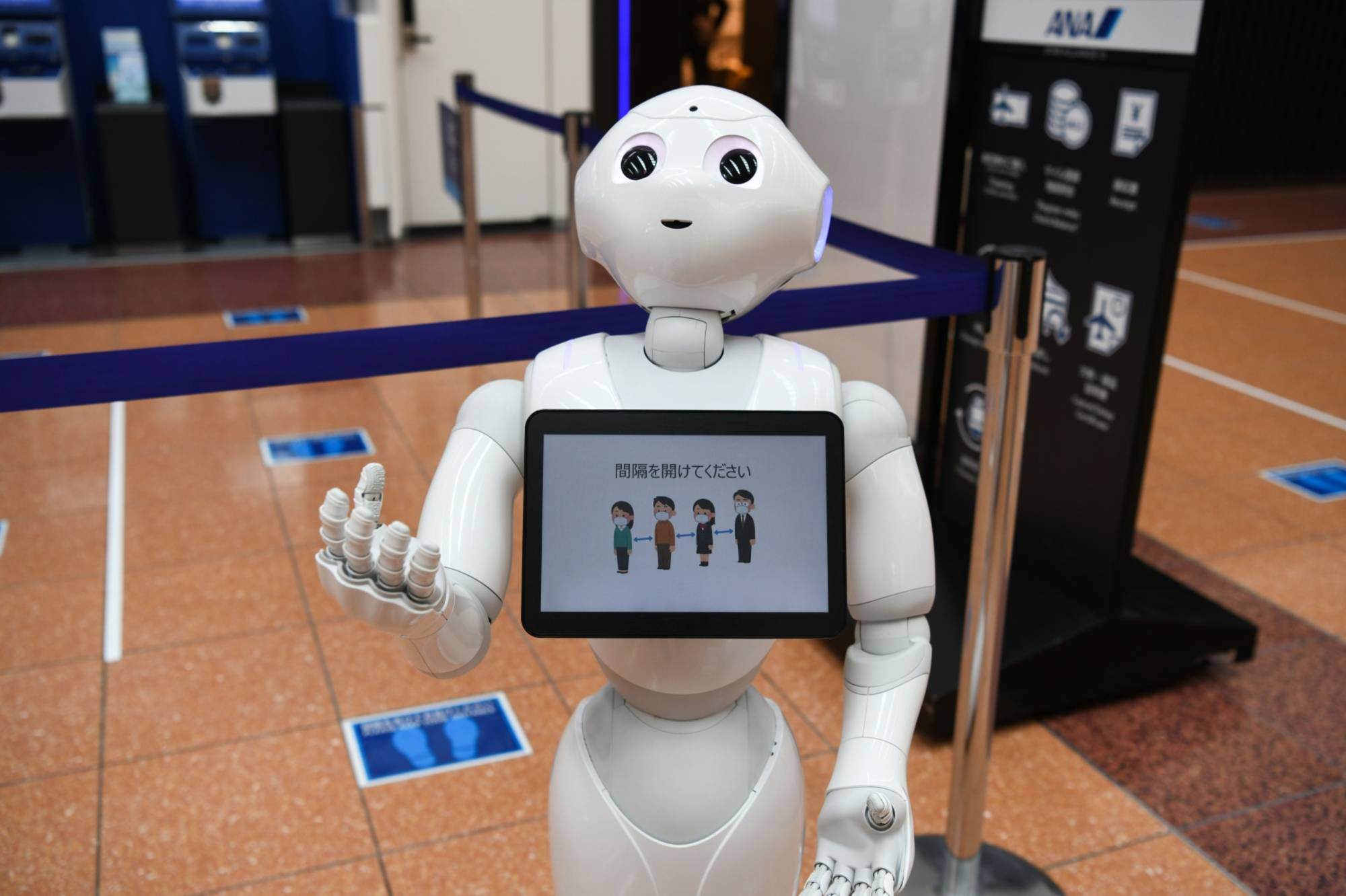robot_pimienta