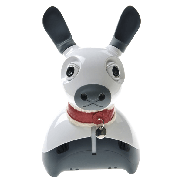 MiRO-E Standard Edition