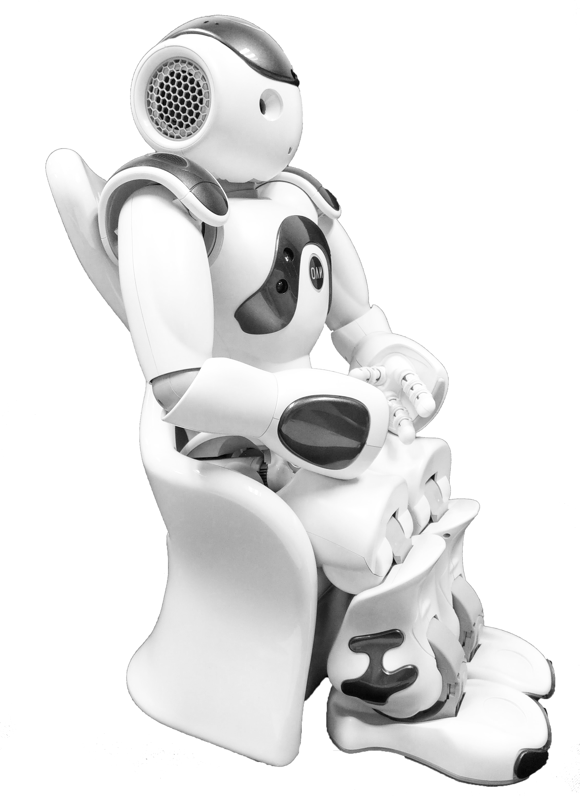 Docking Station for the NAO Robot