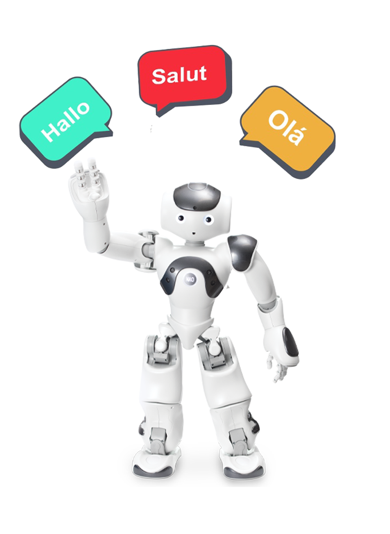 Additional Language for the NAO Robot add-on