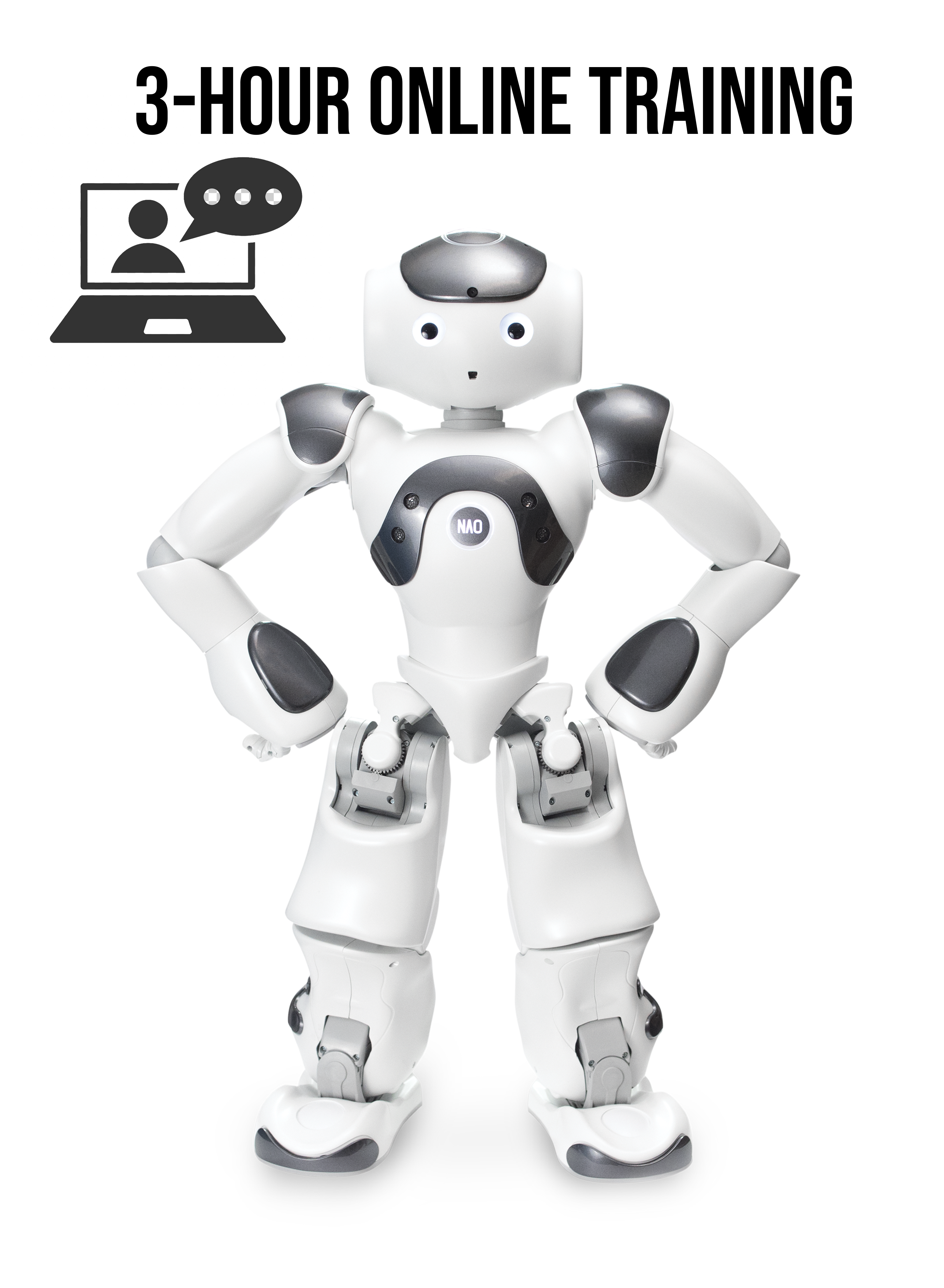 Online Training for the NAO Robot