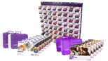LITTLEBITS School Solution