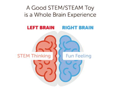 STEM-toy-Brain