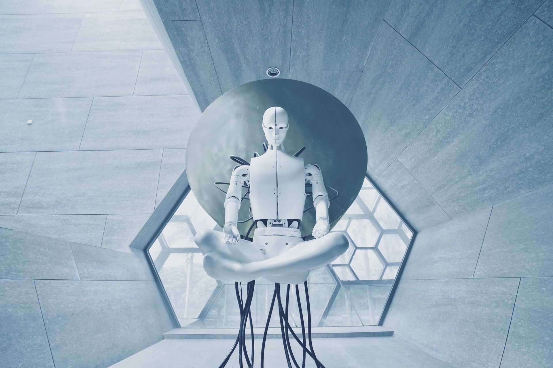 The Future of Robotics: Where Do We Go From Here?
