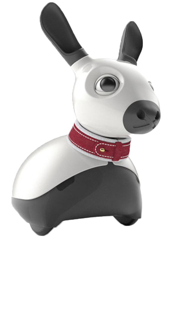 MiRO-E Standard Edition