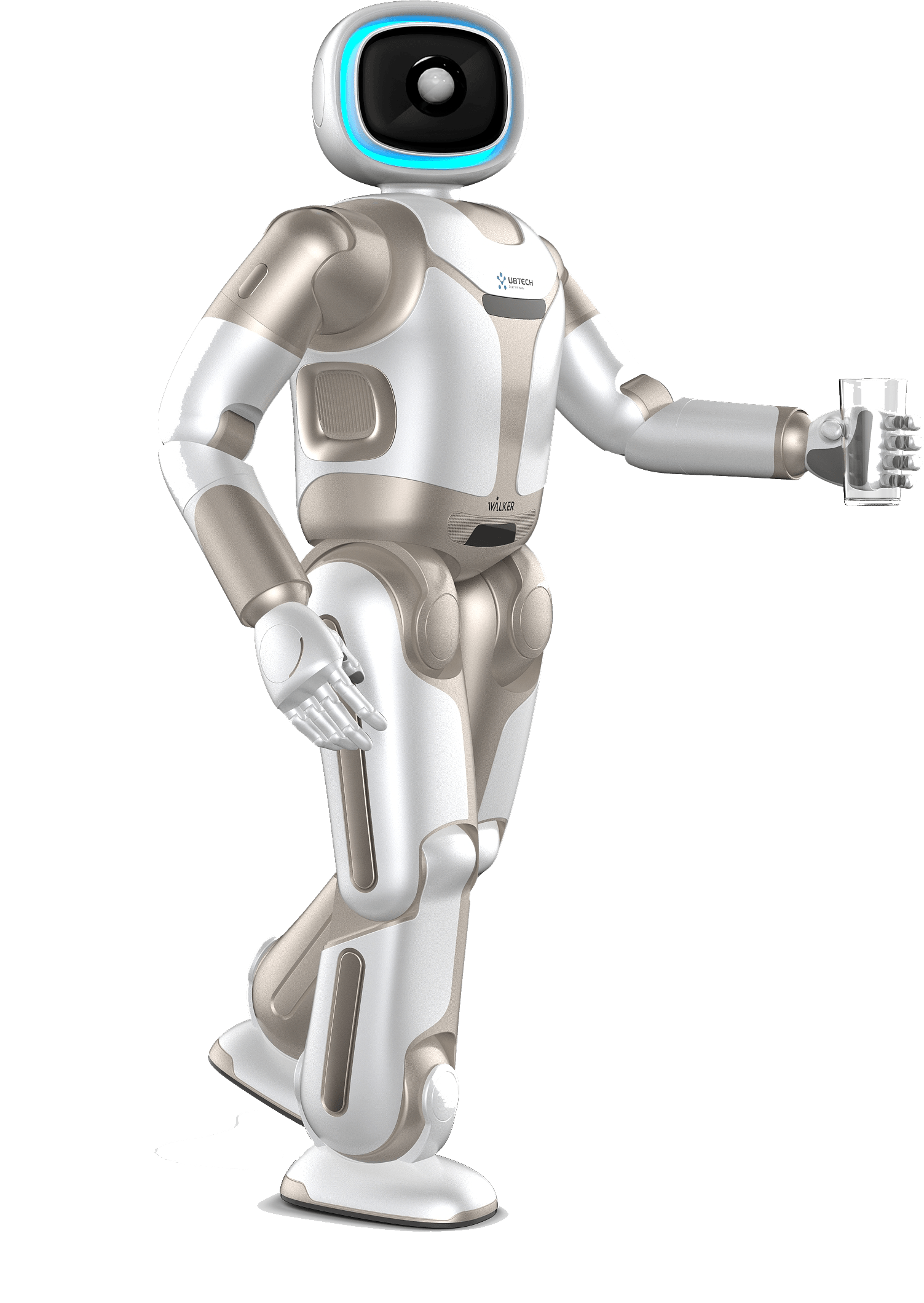 Walker Humanoid Service Robot For Research