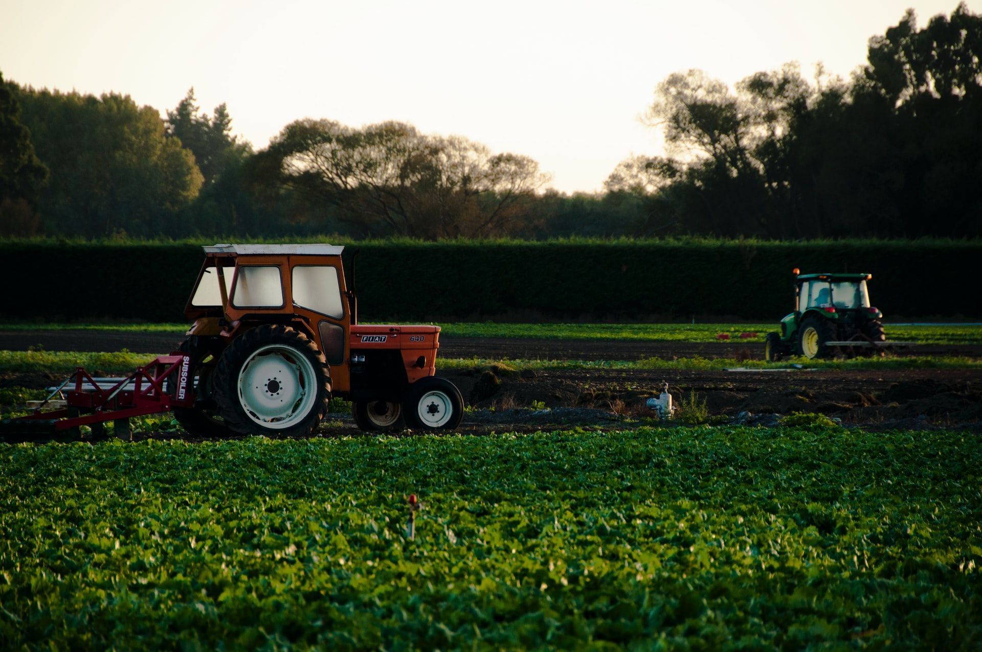 How Robots and AI Are Transforming the Food Industry